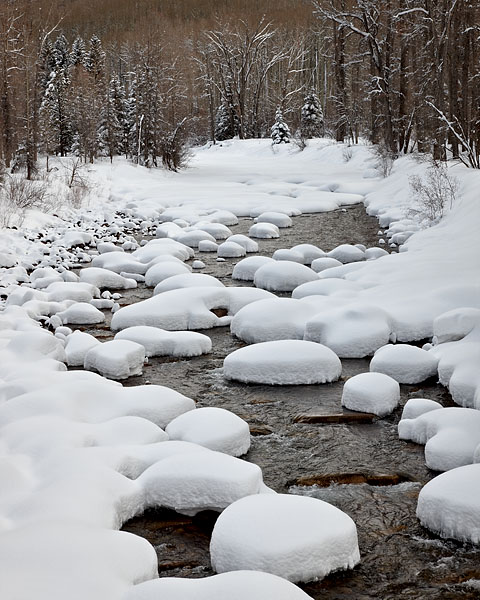 Snow Pillows on the Dolores River