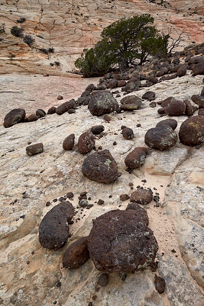Boulders On Sandstone