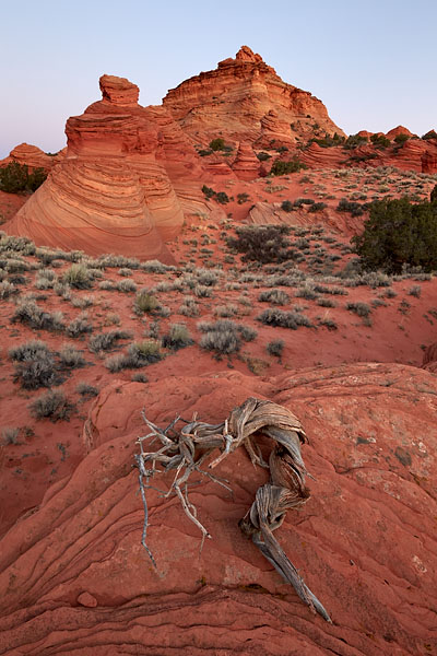 Coyote Buttes Dawn