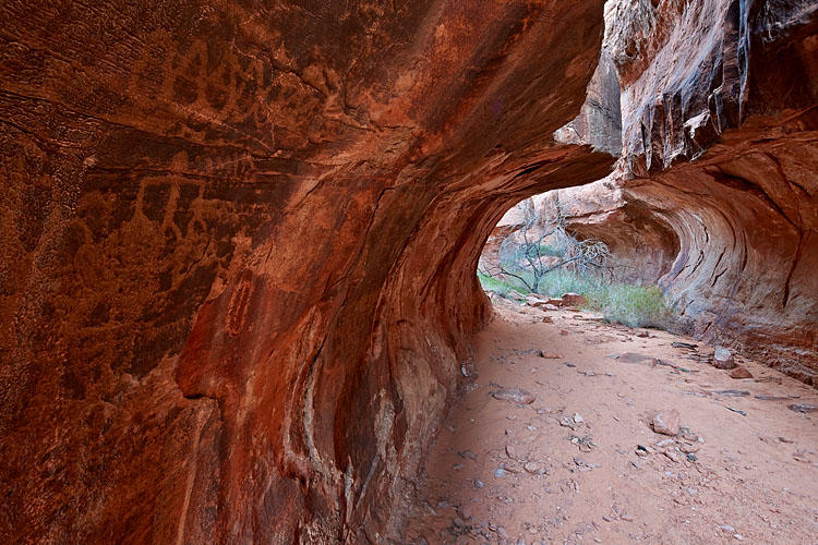 Petroglyphs In A Narrow Canyon