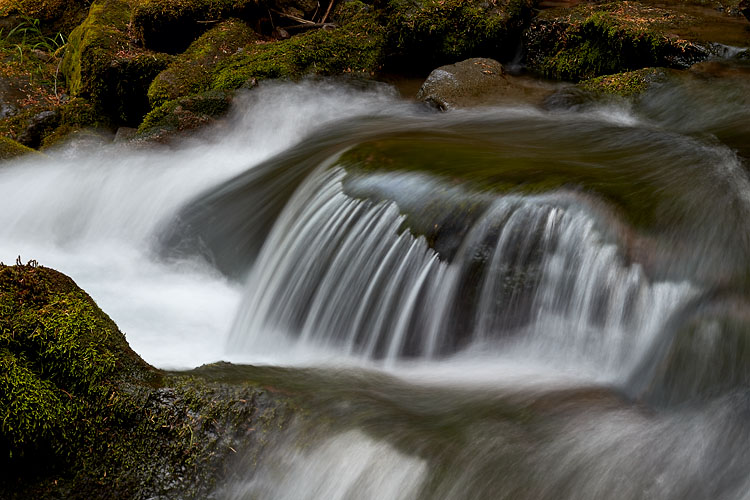 Cascade on Cold Spring Creek