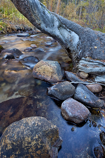 Rock Creek