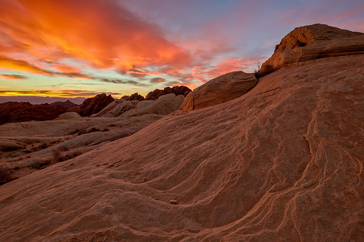 Brilliant Sunrise