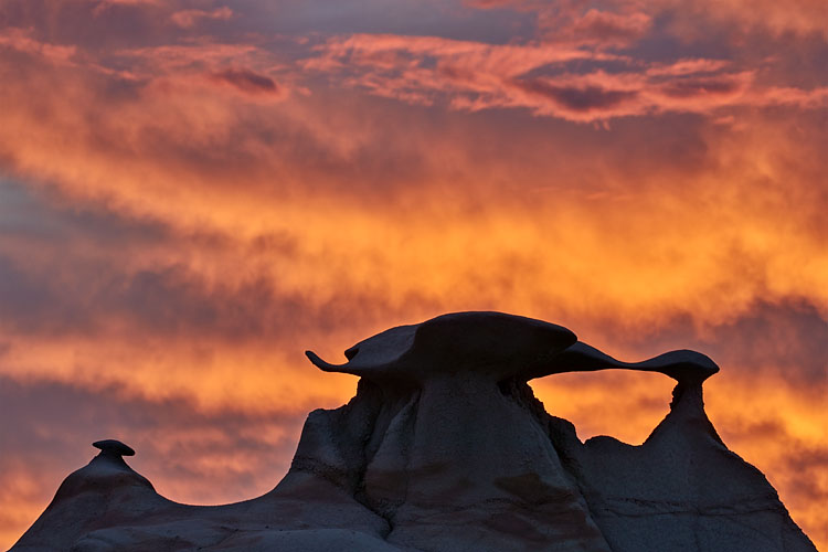 Wings At Sunrise