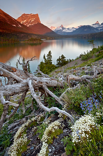 Dusty Star Mountain At First Light