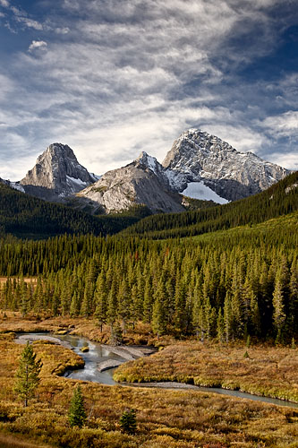 Alpine Fall