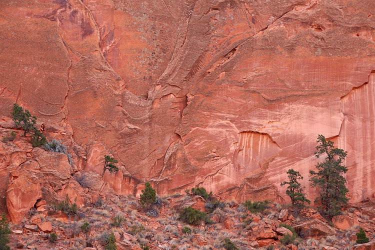 Salmon Sandstone