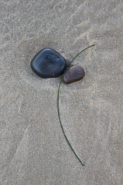 Pebbles And Grass On The Beach