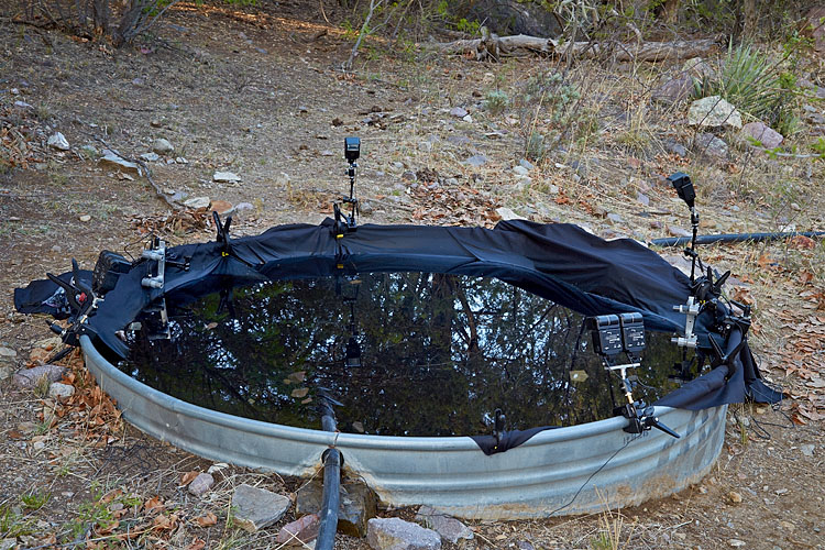 The Bat Setup, Overview