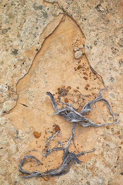 Slickrock Detail